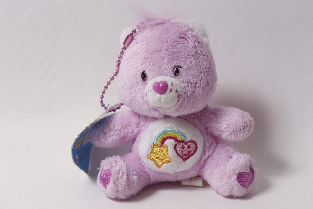 Care Bears Japanese Rare Best Friend Bear Plush Keychain Charm ~ 260812-WH 1071